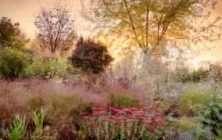 Autumn Sunset by Annie Green Armytage 1